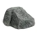 thekidneystone thekidneystone