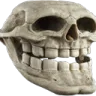 trollskull trollskull
