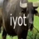 1y0t