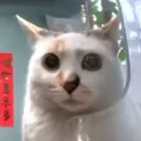Uhhhhh