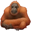 ES_Chimp ES_Chimp