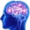 1000IQ