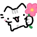 nicuunicuu