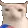 veryCat