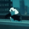 Panda Parkour Discord Emoji