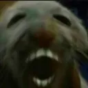xdd_kekl xdd_kekl