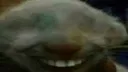 xdd_blind