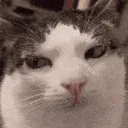 emoji_76