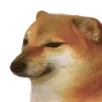 doge_dog_bruh_sad_pog