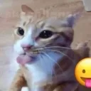 meow