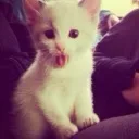 neow