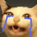 murderCry