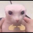Uh
