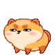 dog_scared