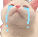 pA_catCry Discord emoji