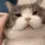 rub rub