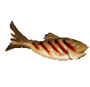 grilledfishspin2