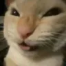 nyehehehehe