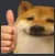 thumbsupshiba