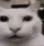 nohorror