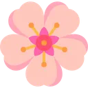 sakura_petal2