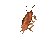 emoji_10 emoji_10