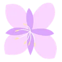 violeta