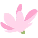 magnolia