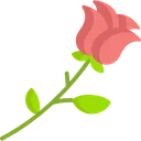 rose1