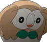 rowletstressed