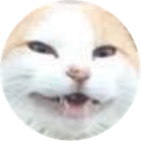 yes