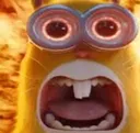 minionbunny