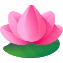 hoa_sen