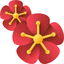 hoa_do