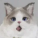 Psycat_Wow
