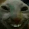 xdd