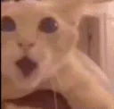 huh