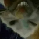 xpx