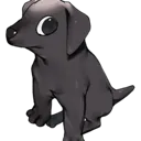dogmood
