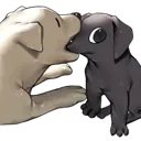 whatthedogdoin