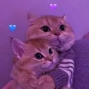 bros
