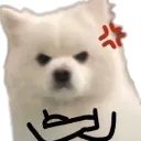 0angry_doggo