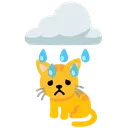 kas kas