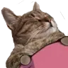 catsleep