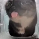 tongueout