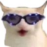 pogcat
