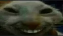 xdd