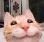 smileCat