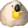 thinkegg