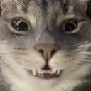 The_Samster